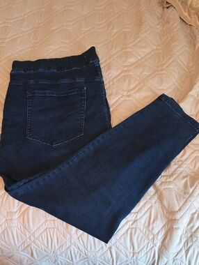 Lane Bryant Dark Indigo Skinny Jeans